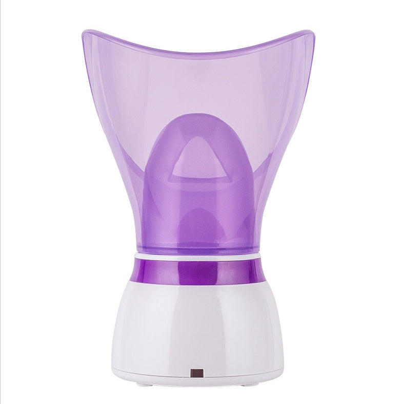 Facial Steam Sprayer