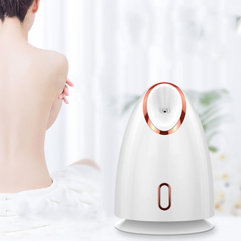 Nano Face Steamer