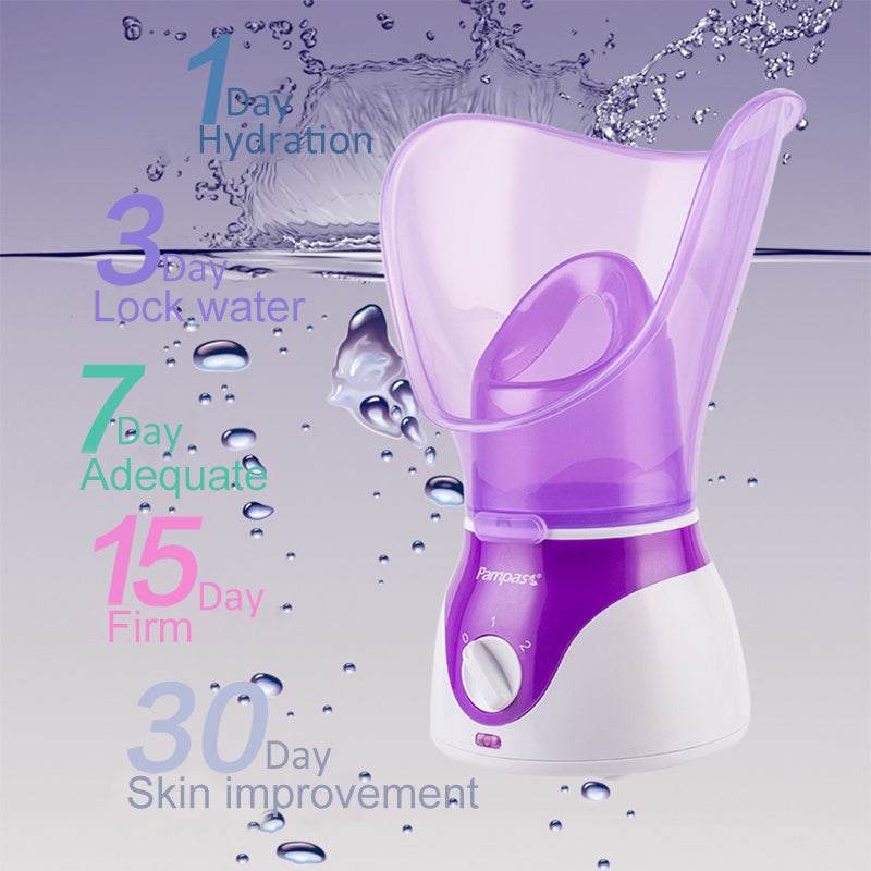 Facial Steam Sprayer