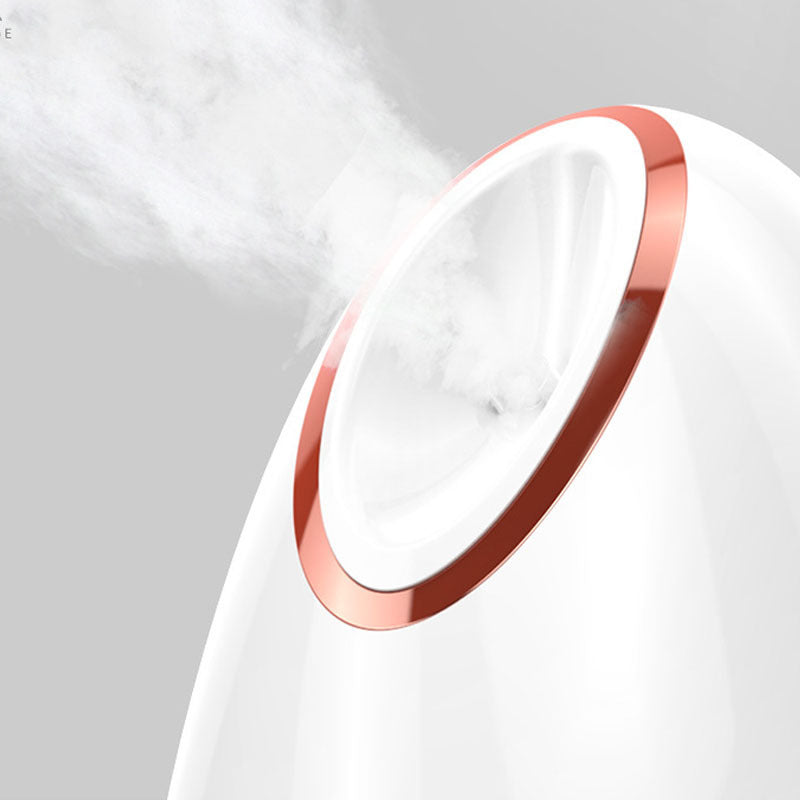 Nano Face Steamer
