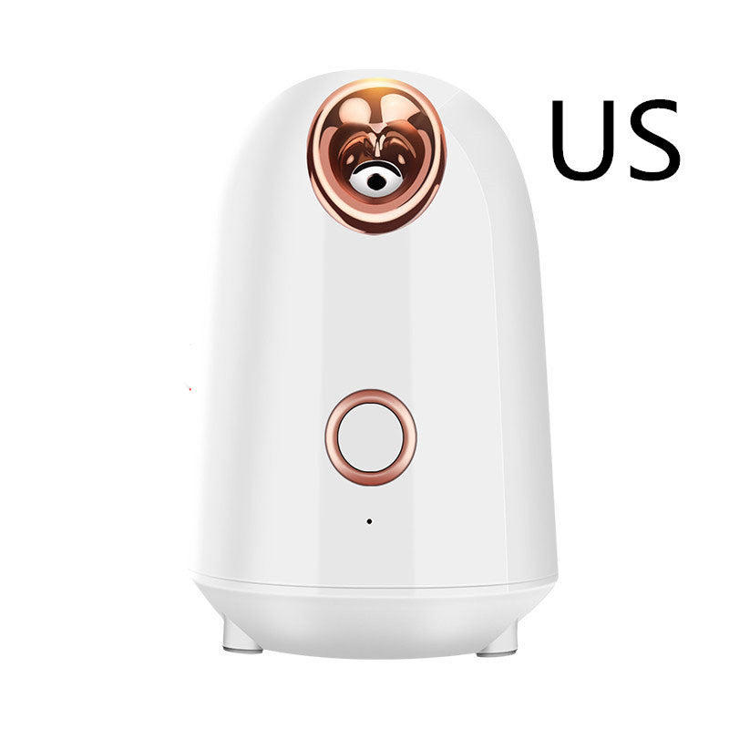 Nano Face Steamer