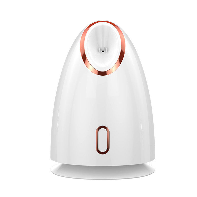 Nano Face Steamer