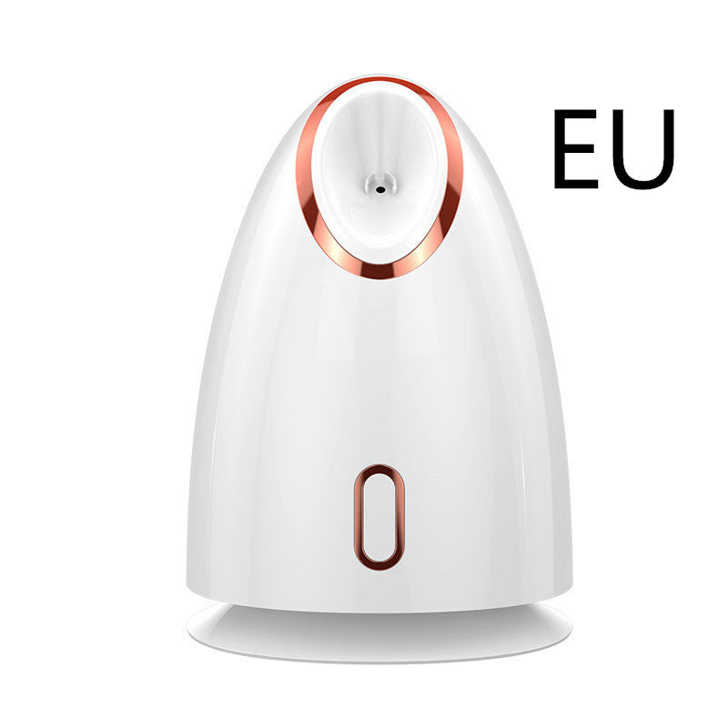 Nano Face Steamer