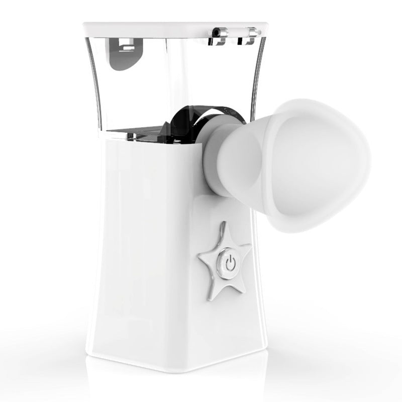 Facial Steam Sprayer