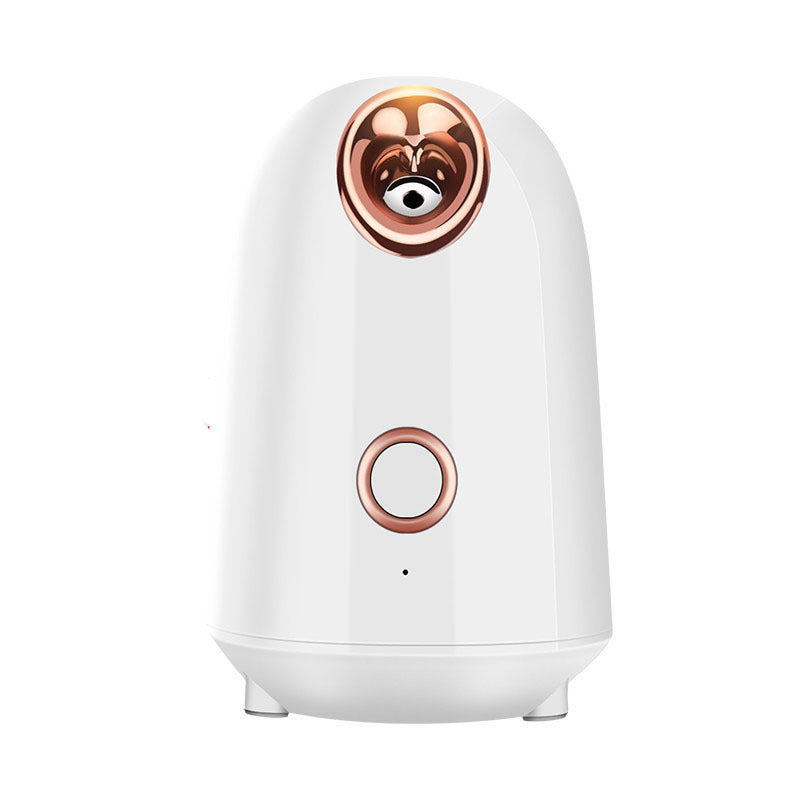 Nano Face Steamer