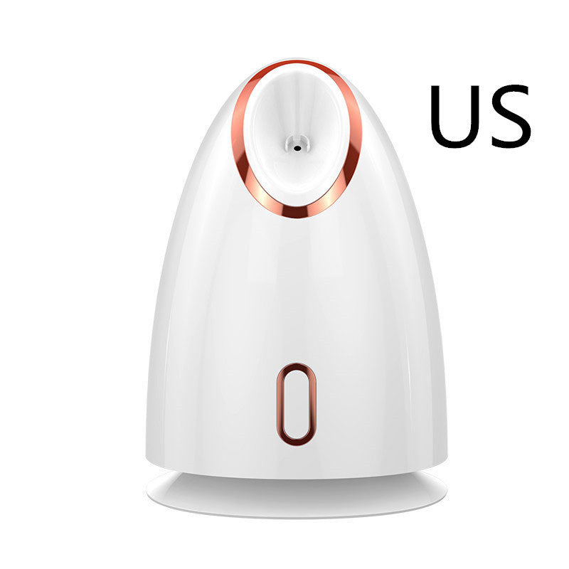 Nano Face Steamer