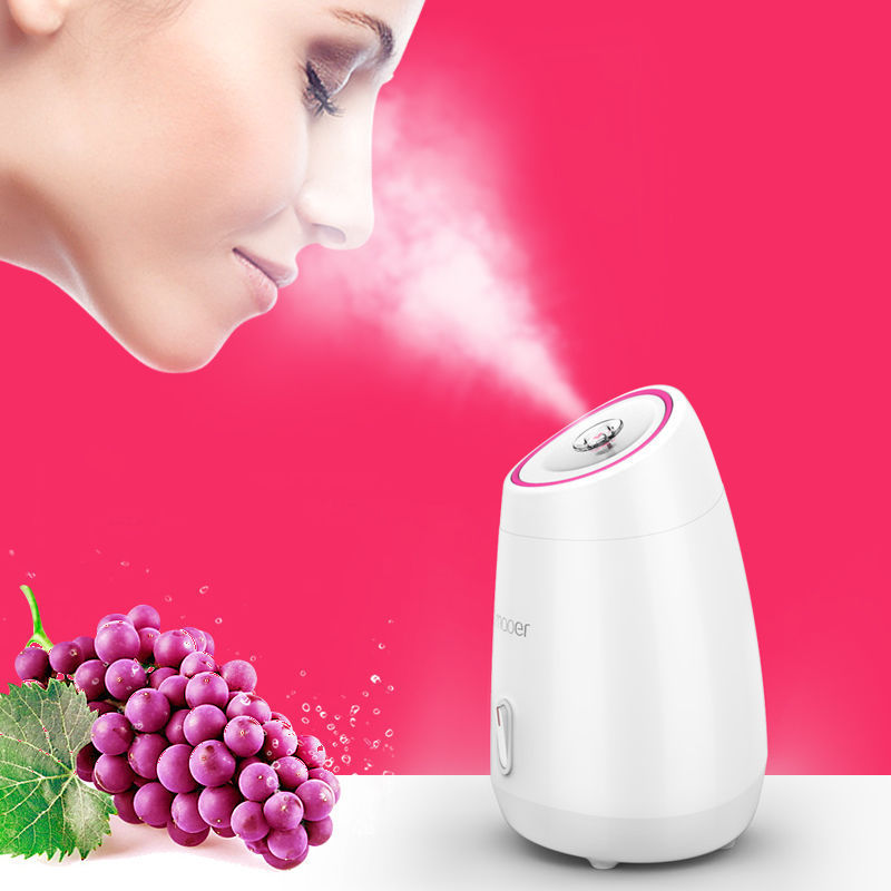 Nano Facial Steamer